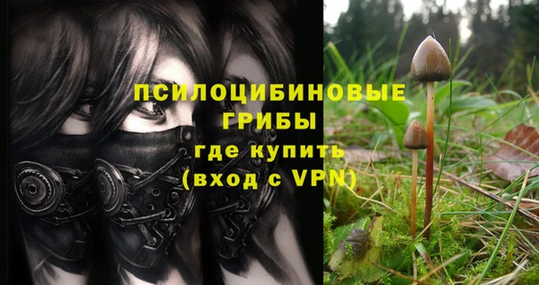 крисы Богородск