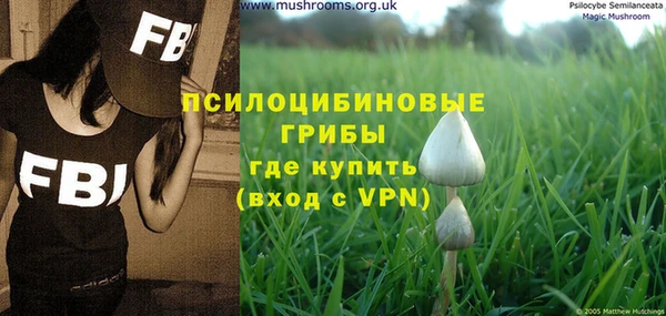 гашик Богородицк