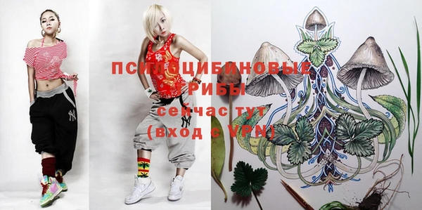 синтетический гашиш Богданович
