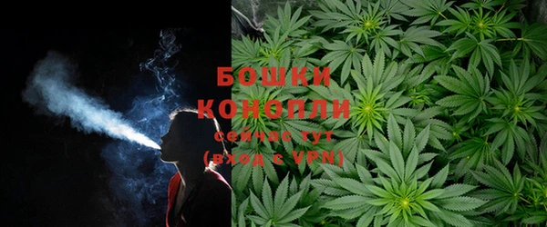 гашик Богородицк