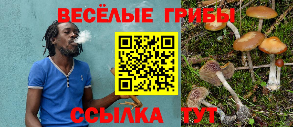 Псилоцибиновые грибы Psilocybe  Галлюциногенные грибы MAGIC MUSHROOMS  Среднеуральск  Вход с VPN 