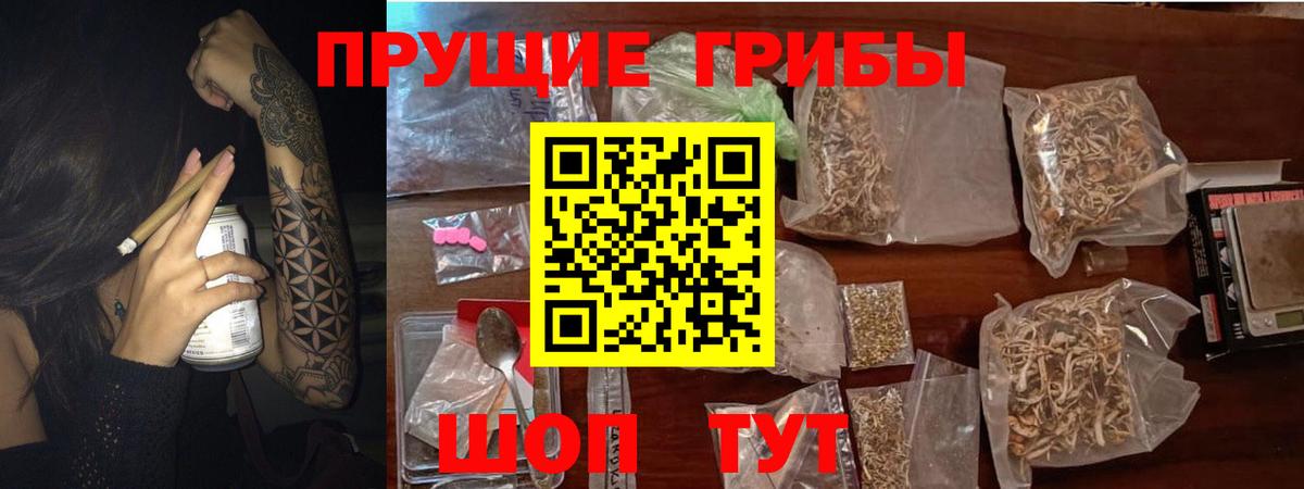 Галлюциногенные грибы прущие грибы Среднеуральск